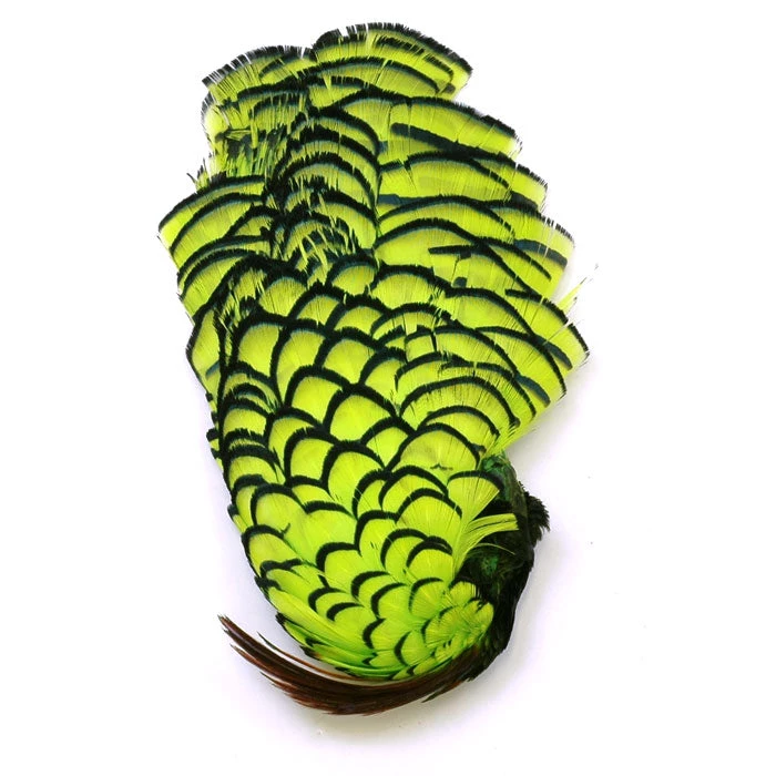 Nature's Spirit Feathers Lady Amherst Crest W/ Tippet 10 Nature's Spirit Feathers Lady Amherst Crest W/ Tippet