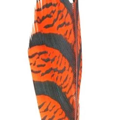 Nature's Spirit Feathers Lady Amherst Tail Section