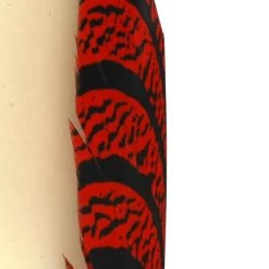 Nature's Spirit Feathers Lady Amherst Tail Section