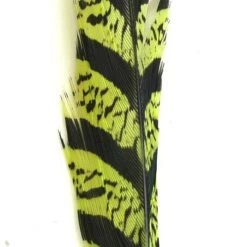 Nature's Spirit Feathers Lady Amherst Tail Section