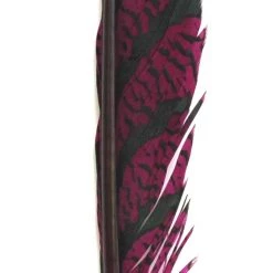 Nature's Spirit Feathers Lady Amherst Tail Section