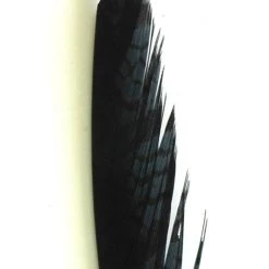 Nature's Spirit Feathers Lady Amherst Tail Section