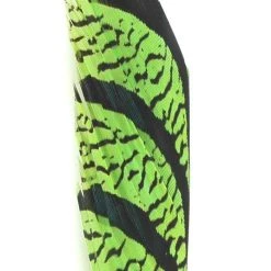 Nature's Spirit Feathers Lady Amherst Tail Section