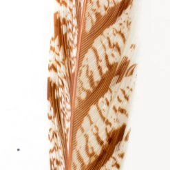 Nature's Spirit Feathers Lady Amherst Tail Section