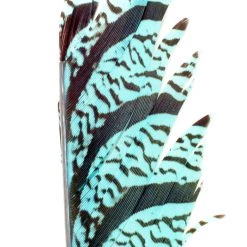 Nature's Spirit Feathers Lady Amherst Tail Section