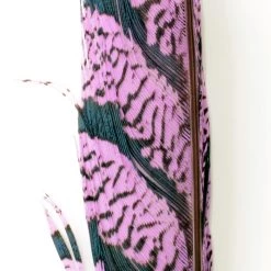 Nature's Spirit Feathers Lady Amherst Tail Section