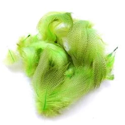 Nature's Spirit Mallard Flank Feathers