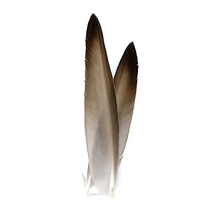 Nature's Spirit No 1 Duck Quill 1 Nature's Spirit No 1 Duck Quill