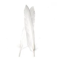 Nature's Spirit No 1 Duck Quill