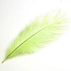 Nature's Spirit Ostrich Plume 10"-12"