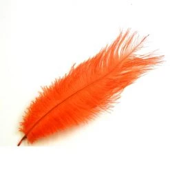 Nature's Spirit Ostrich Plume 10