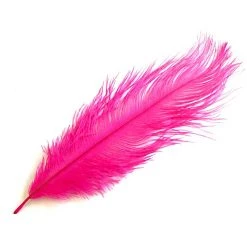 Nature's Spirit Ostrich Plume 10