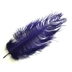 Nature's Spirit Ostrich Plume 10