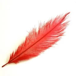 Nature's Spirit Ostrich Plume 10