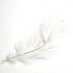 Nature's Spirit Ostrich Plume 10