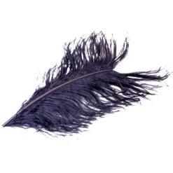 Nature's Spirit Ostrich Plume