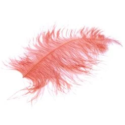 Nature's Spirit Ostrich Plume