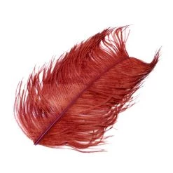 Nature's Spirit Ostrich Plume