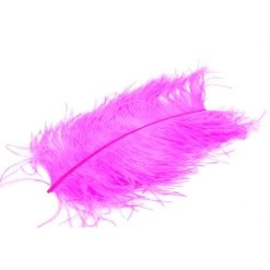 Nature's Spirit Ostrich Plume