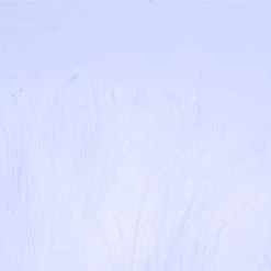 Nature's Spirit Feathers Spey Marabou