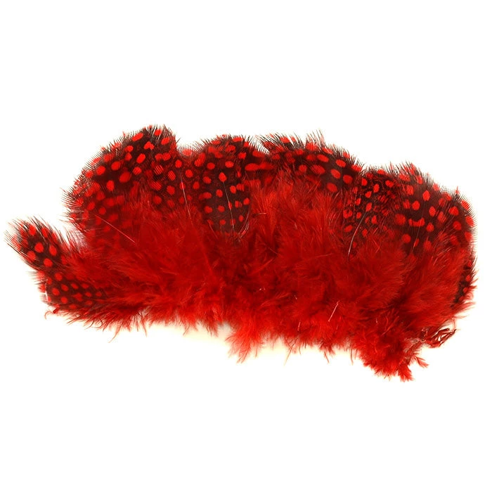 Nature's Spirit Strung Guinea Feathers 5 Nature's Spirit Strung Guinea Feathers