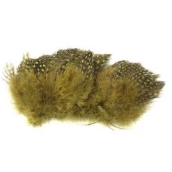 Nature's Spirit Strung Guinea Feathers 39 Nature's Spirit Strung Guinea Feathers