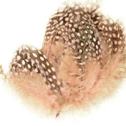 Nature's Spirit Strung Guinea Feathers 42 Nature's Spirit Strung Guinea Feathers