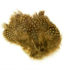 Nature's Spirit Strung Guinea Feathers 45 Nature's Spirit Strung Guinea Feathers