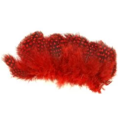 Nature's Spirit Feathers Strung Jumbo Guinea 21 Nature's Spirit Feathers Strung Jumbo Guinea