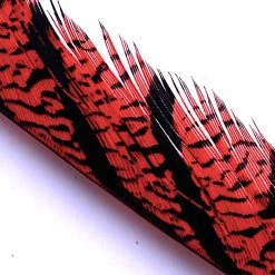 Hareline Dubbin, Inc. Feathers Lady Amherst Center Tail Feather