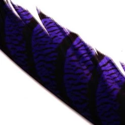 Hareline Dubbin, Inc. Feathers Lady Amherst Center Tail Feather