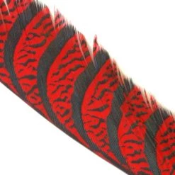 Hareline Dubbin, Inc. Feathers Lady Amherst Center Tail Feather