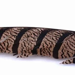 Hareline Dubbin, Inc. Feathers Lady Amherst Center Tail Feather