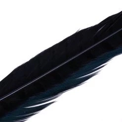 Hareline Dubbin, Inc. Feathers Ringneck Center Tail