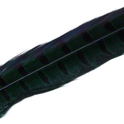 Hareline Dubbin, Inc. Feathers Ringneck Center Tail