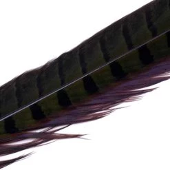 Hareline Dubbin, Inc. Feathers Ringneck Center Tail