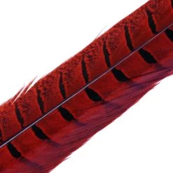 Hareline Dubbin, Inc. Feathers Ringneck Center Tail