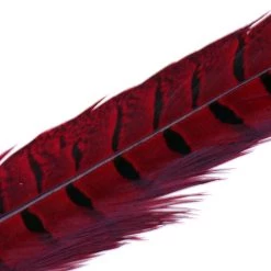 Hareline Dubbin, Inc. Feathers Ringneck Center Tail