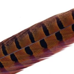 Hareline Dubbin, Inc. Feathers Ringneck Center Tail