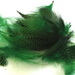 Hareline Dubbin, Inc. Teal Flank Feathers