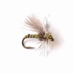 Deschutes Angler Low Water Baetis