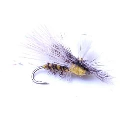 Deschutes Angler Paralyzer Yellow Sally FLIES