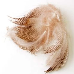 Deschutes Angler Pintail Flank Feathers