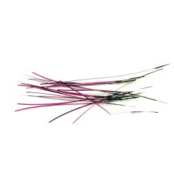 Nature's Spirit Polish Quills