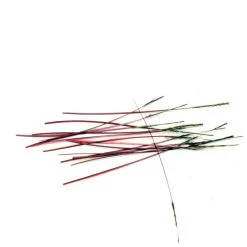 Nature's Spirit Polish Quills