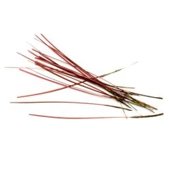 Nature's Spirit Polish Quills