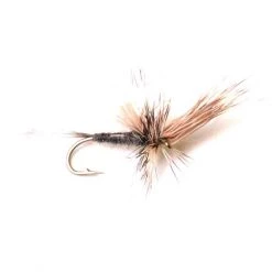 Deschutes Angler FLIES Quigley's Spider Variant