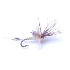 Deschutes Angler FLIES Quigley's Spider Variant Cripple PMD