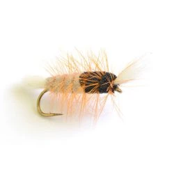 Deschutes Angler Smokey Bomber