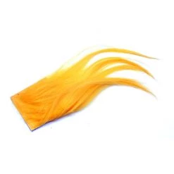 Spirit River Cashmere Goat